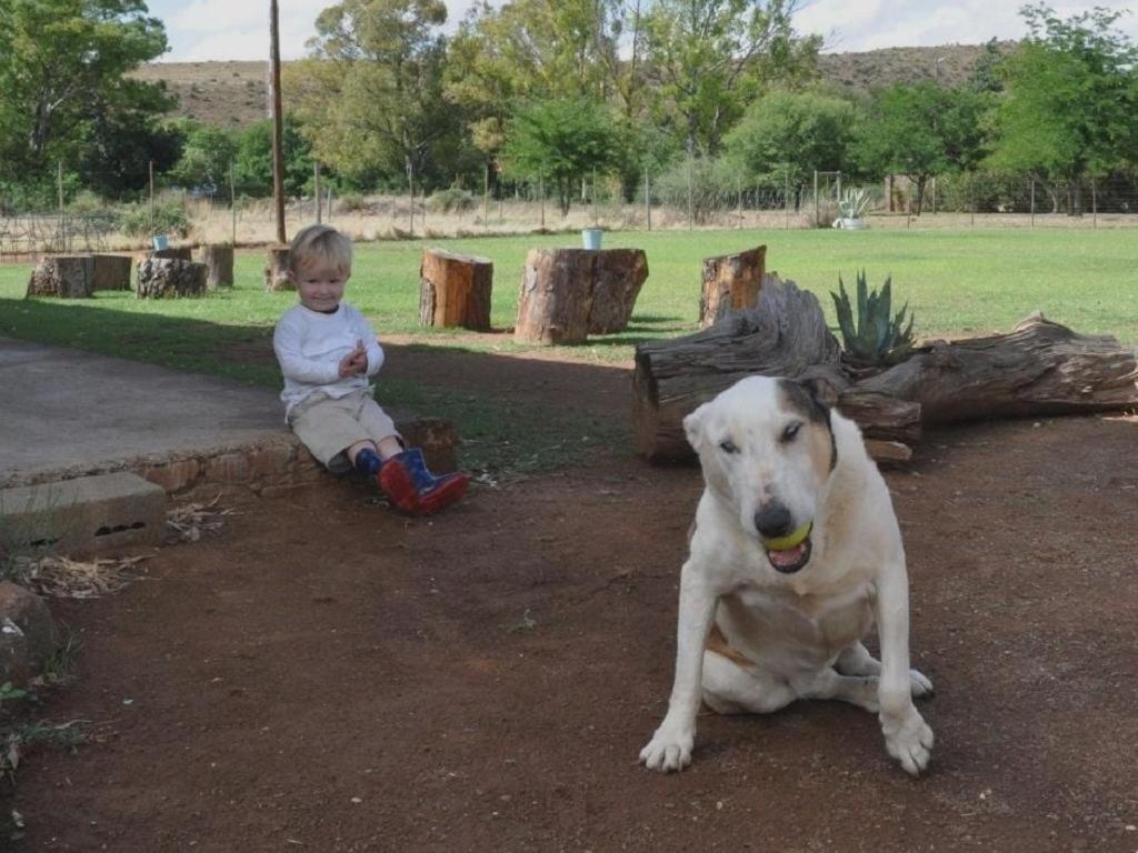 Little Farms Hotel Colesberg Luaran gambar