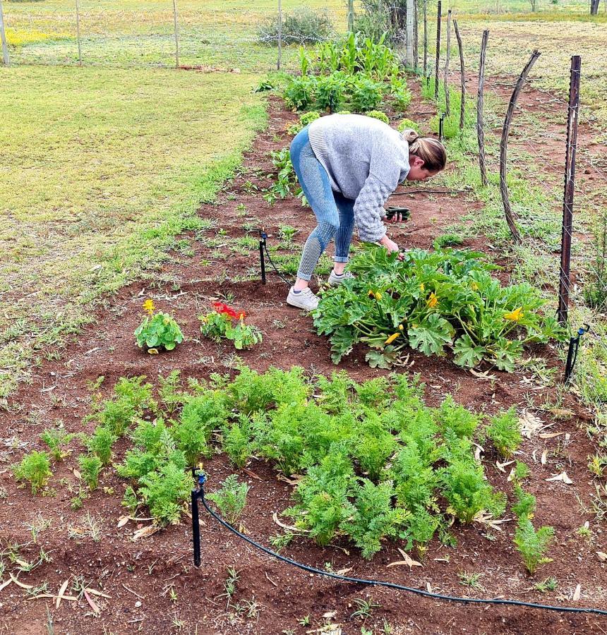 Little Farms Hotel Colesberg Luaran gambar